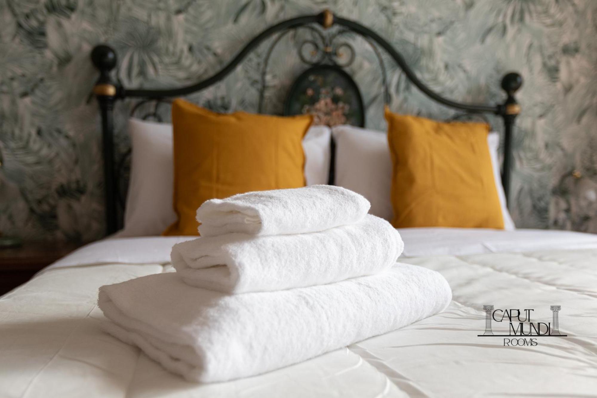 Caput Mundi Rooms - 100Mt To Metro A, Terrace, A-C, 15 Min To Center Roma Exterior foto